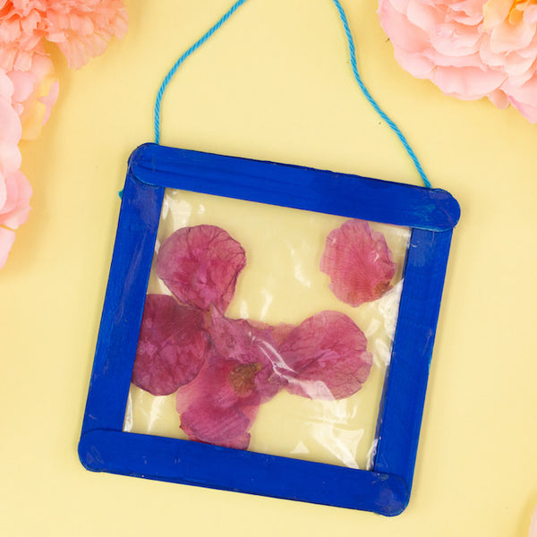 Pressed Flower Frame Craft Box Girls